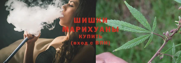 бошки Алексин