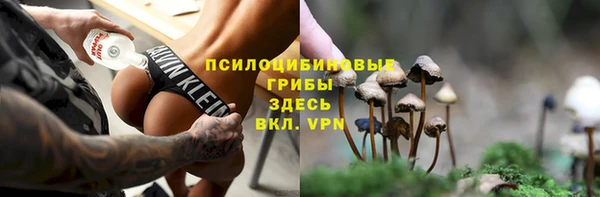 бошки Алексин
