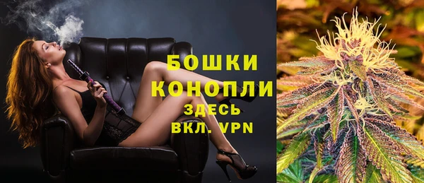 бошки Алексин