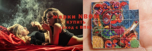 бошки Алексин